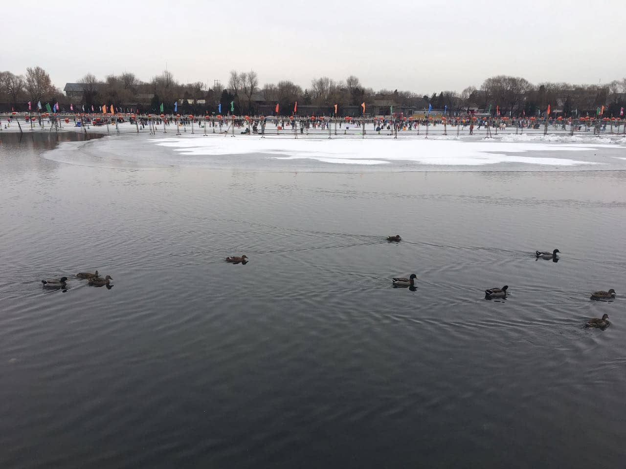 微信圖片_202012231559097.jpg 微信圖片_202012231559097.jpg