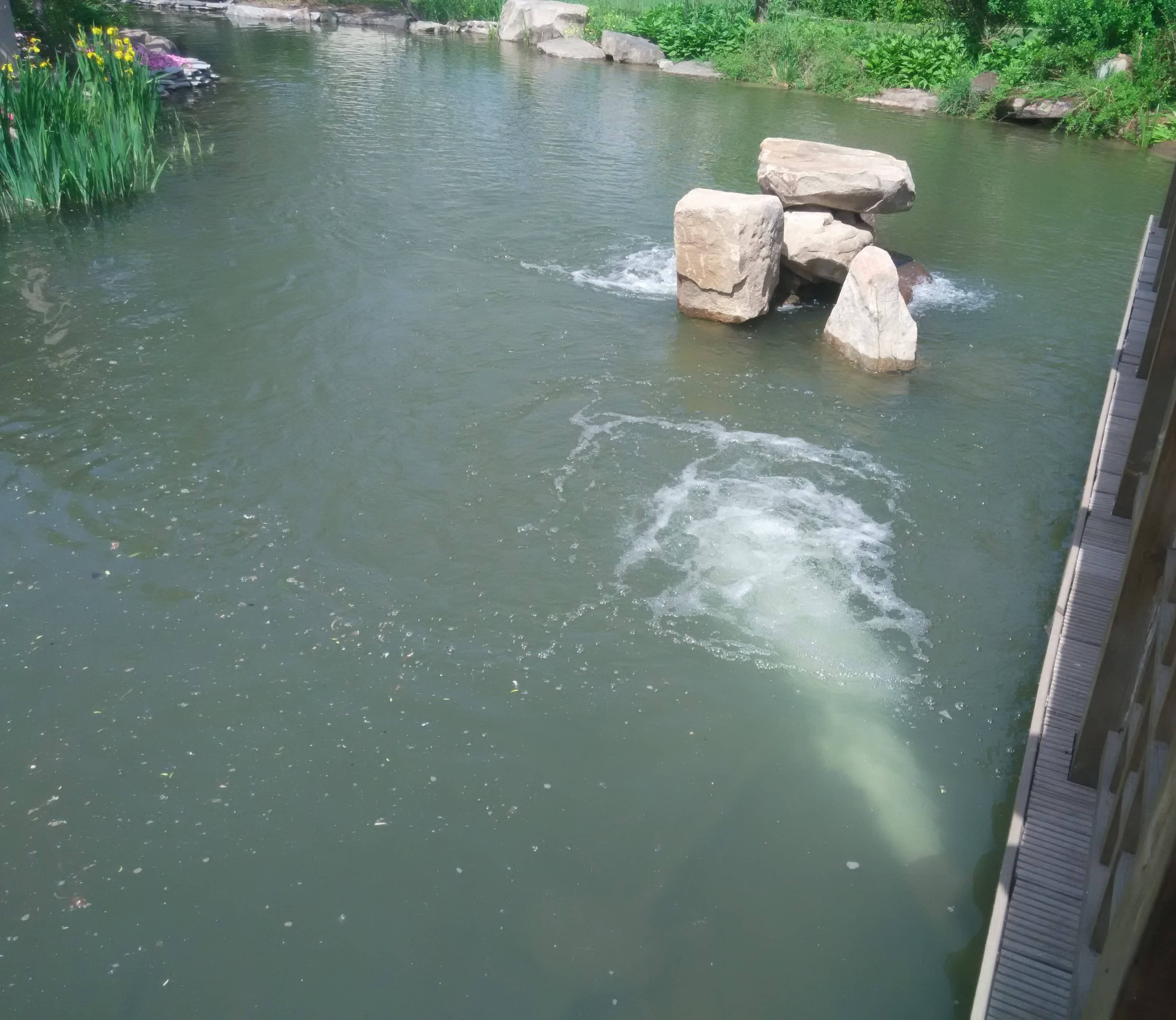 IMG_20150506_100936.jpg IMG_20150506_100936.jpg